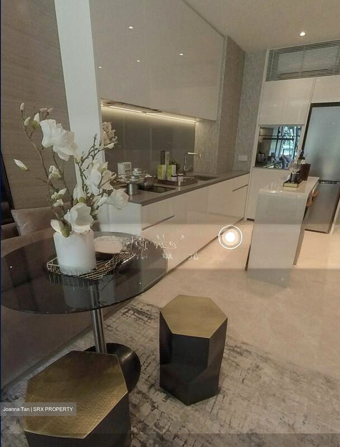 Amber Park (D15), Condominium #520866191
